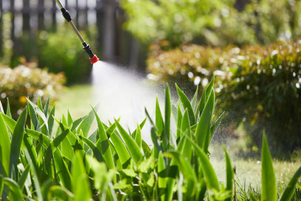 Tamper-Resistant Bait Stations for Rodents in Cloverly