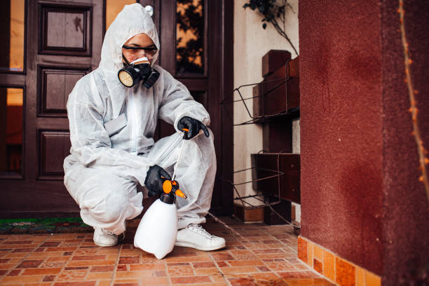Attic and Crawl Space Rodent Treatment in Cloverly