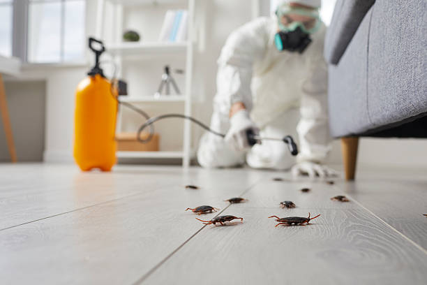 Commercial Rodent Management in Cloverly